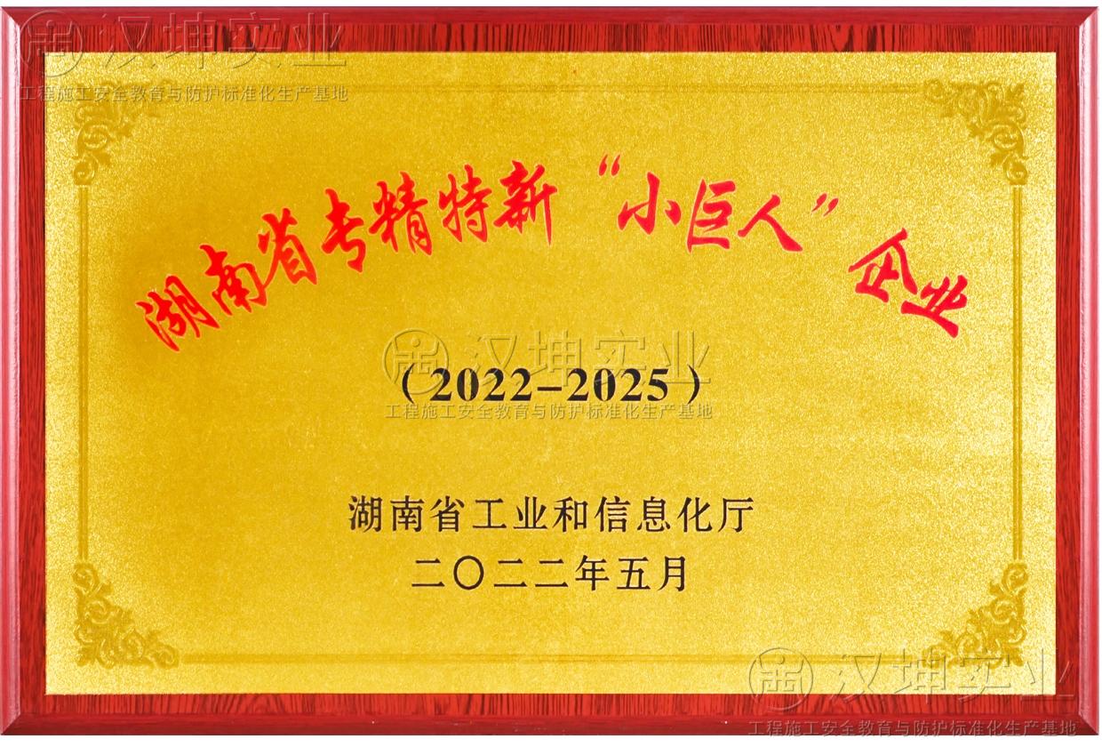 小巨人企业
