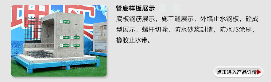 管廊样板 管廊样板