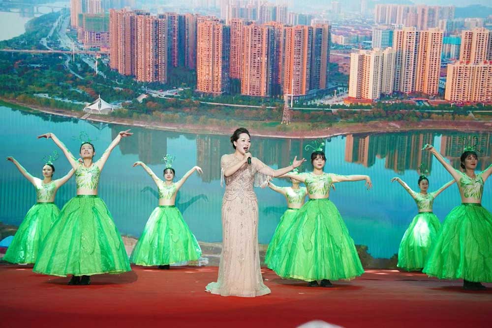 歌舞《美丽的新化我可爱的家》︱康学锋女士与二基地